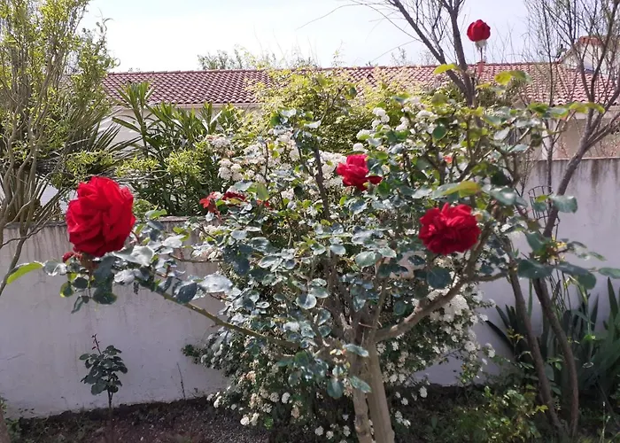 شقة Lumineux Dans La Coulee Verte A Gilles Croix De Vie سانت جيل كروا دي فيي