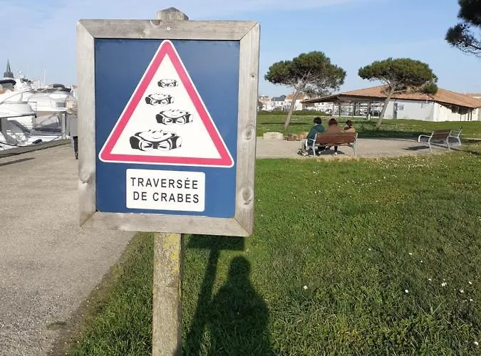 Lumineux Dans La Coulee Verte A Gilles Croix De Vie * سانت جيل كروا دي فيي