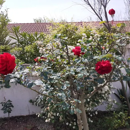 Apartment Lumineux Dans La Coulee Verte A Gilles Croix De Vie Saint-Gilles-Croix-de-Vie