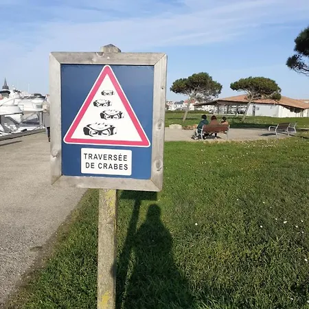 Lumineux Dans La Coulee Verte A Gilles Croix De Vie * Saint-Gilles-Croix-de-Vie